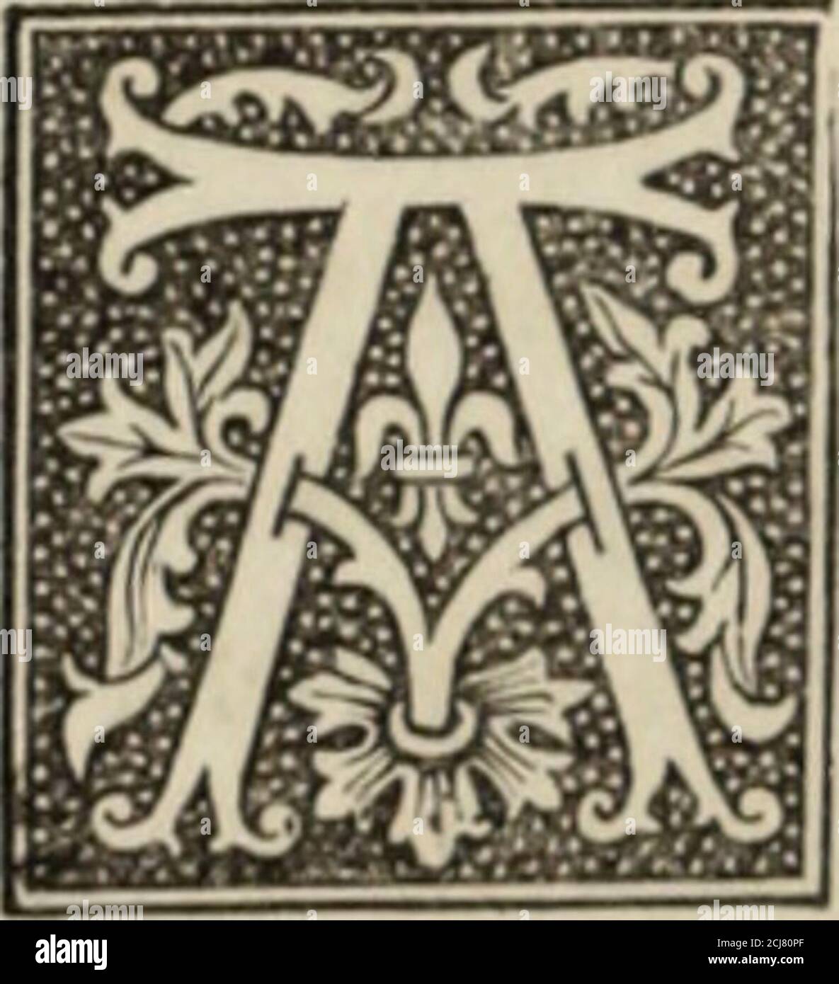 . Historia rerum anglicarum Willelmi parvi . uodscaricet et ad homines ^aeternus foret NormandicaVictoria? tito, et al Deum propiziatio prò efiu-sione tanti sanguinis Christiani. Denique ineodem monasterio locus ille ubi anglorum pròpatria dimicantium maxima strages facta est, siforte modico imbre maduerit, verum sanguinem etquasi recentem exsudat: ac si aperte per ipsamrei evidentiam dicatur, quod adhuc vox tanti san-guinis Christiani clamet ad ^Deum de terra, qua?aperuit os suum et suscit eundem sanguinemde manibus fratrum, id est, Christianorum. A. D. losr. William Ru-fus; CAP. II. De Foto Stock