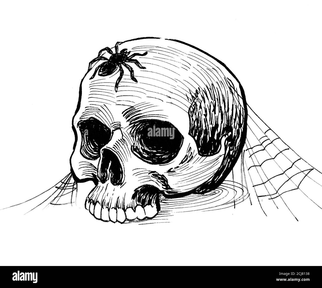 Cranio umano con web e ragno. Disegno in bianco e nero con inchiostro Foto Stock