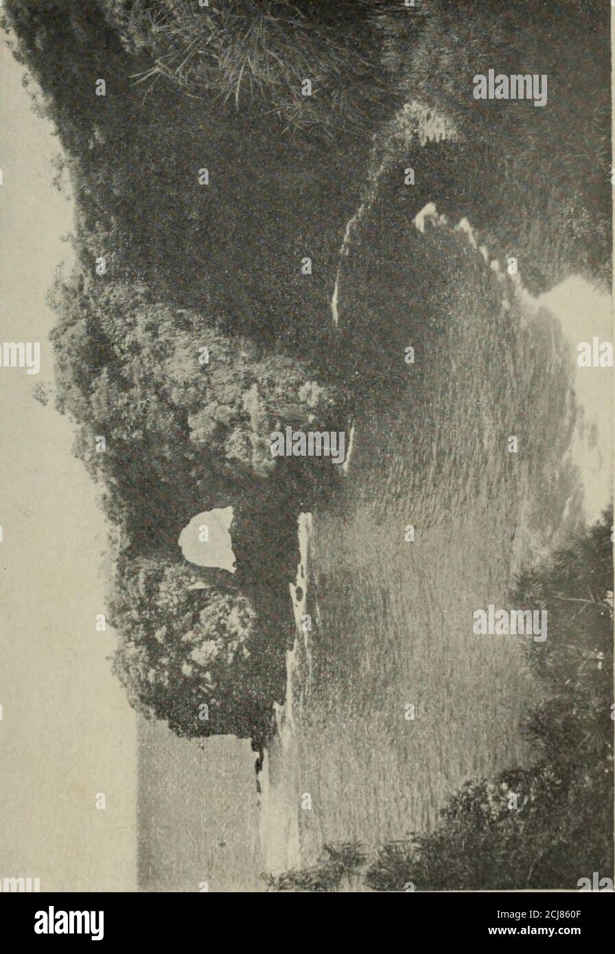 . Hawaii, passato e presente. Thew7aves precipitare perpetuamente. A circa 6 km di distanza da Hilo, ai margini della grande cintura forestale, si trova la grotta Kaumana, un tubo che si estende per le milesunder un vecchio flusso lavico. Le stalattiti andstalagmiti, le pieghe di roccia che assomigliano al velluto ramato, le radici degli alberi che spingono verso il basso la roccia nel loro lavoro di rottura della lava thesolid, i colori brillanti dove l'acqua ha filtrato attraverso, le striature di iridiscentenamel sui lati della grotta, tutto lo rendono molto interessante. Nella città stessa la Hilo BoardingSchool, dove i ragazzi hawaiani sono dati manualtraining Foto Stock . Hawaii, passato e presente. Thew7aves precipitare perpetuamente. A circa 6 km di distanza da Hilo, ai margini della grande cintura forestale, si trova la grotta Kaumana, un tubo che si estende per le milesunder un vecchio flusso lavico. Le stalattiti andstalagmiti, le pieghe di roccia che assomigliano al velluto ramato, le radici degli alberi che spingono verso il basso la roccia nel loro lavoro di rottura della lava thesolid, i colori brillanti dove l'acqua ha filtrato attraverso, le striature di iridiscentenamel sui lati della grotta, tutto lo rendono molto interessante. Nella città stessa la Hilo BoardingSchool, dove i ragazzi hawaiani sono dati manualtraining Foto Stock