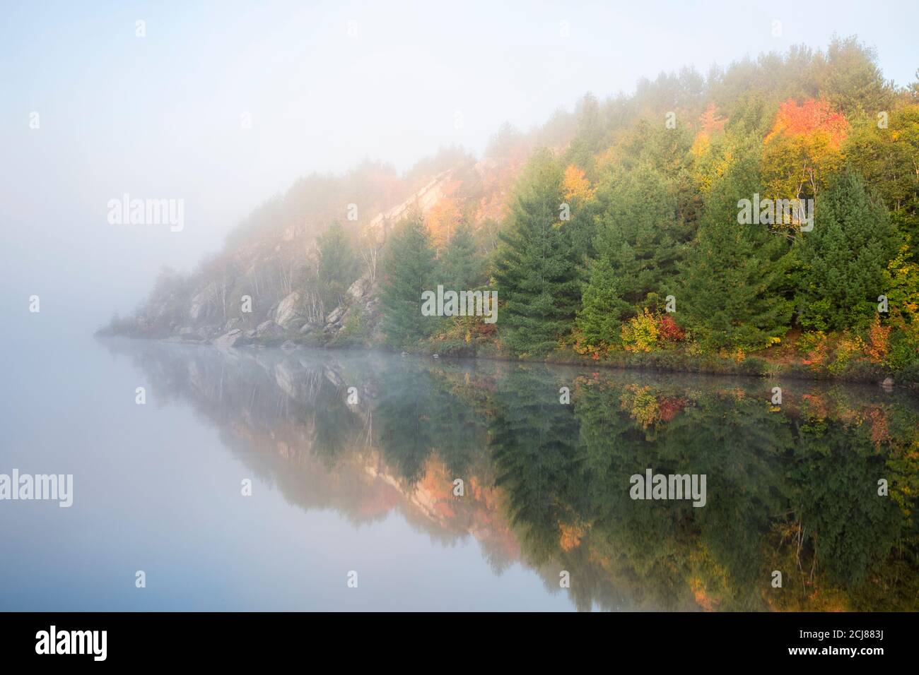 Mattina di autunno foggy, Lake Laurentian Conservation Area, Sudbury, Ontario, Canada. Foto Stock