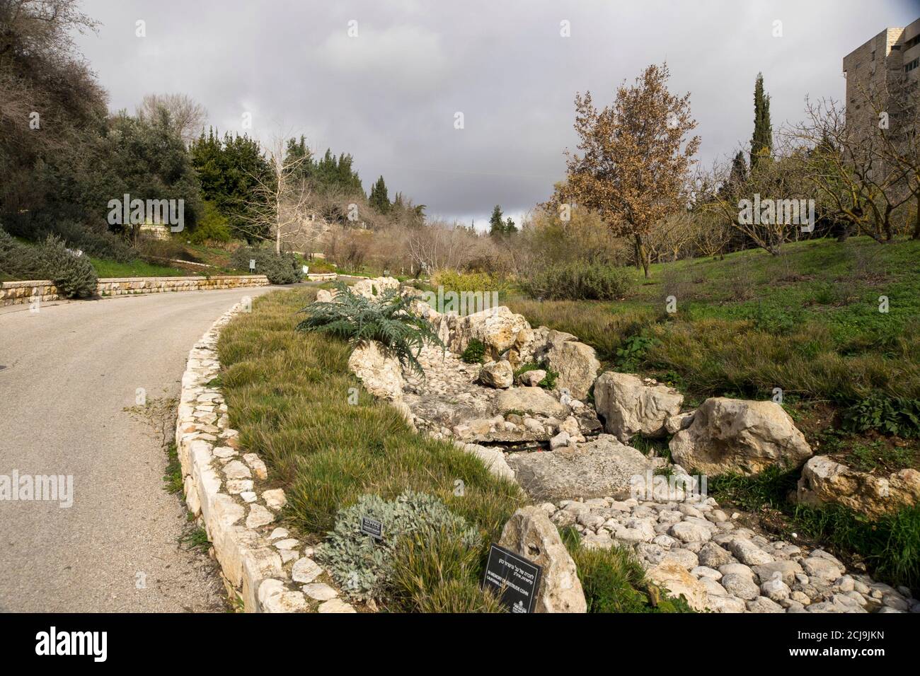 Il Giardino Botanico di Gerusalemme è una gemma nel cuore di Gerusalemme. Serve come centro di istruzione, apprendimento e ricerca, possiede una collectio diversificata Foto Stock