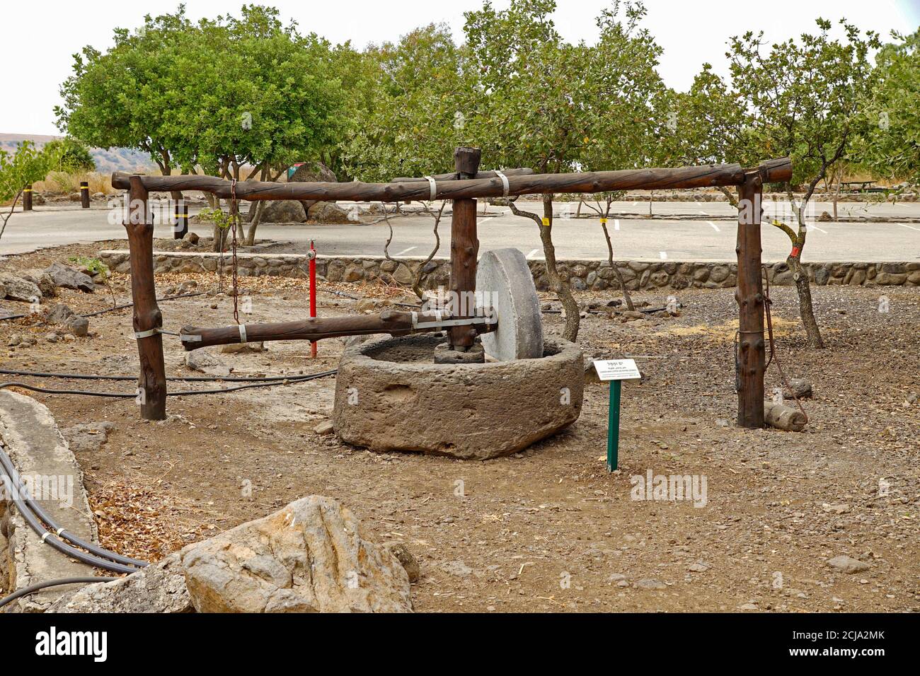 Pietre di pietra a Gamla secondo periodo del Tempio, antica città ebraica sulle alture del Golan, Israele Foto Stock