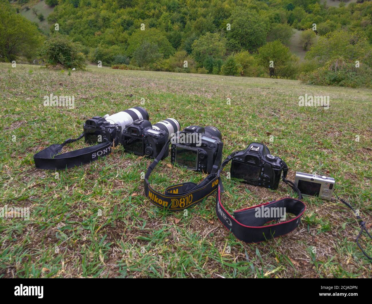 Fotocamere digitali per scattare foto in natura Foto Stock