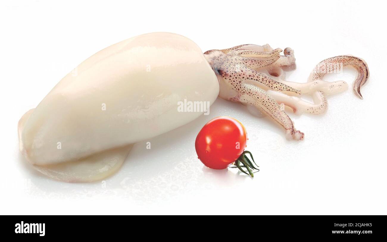 Calamari freschi crudi su tagliere con spezie per insalata aglio al limone, calamari freschi polpo o seppie per cibo cotto al ristorante o mercato di pesce, L Foto Stock