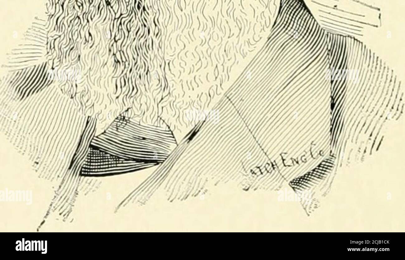 . Quello che ricordo della Grande ribellione . Mm. E. J. BONINE, chirurgo 2d Michigan Fanteria. Quando i foemen mortali si incontrano in lotte, sia altrettanto coraggiosi che audaci, , l'uno o l'altro cade e lascia UNA triste storia dietro di lui. Ma è peggio quando il fratello tiene UN coltello gainst fratelli gola e lo sfida a combattere lui. Si tiene la bandiera, l'emblema della nostra nazione. Le cui stelle sono tutte in glory set, l'altro li distruggerebbe. C 0 X T E X T S . Capitolo I. nomi delle società e, se formatesi, Grand Rapids FortWayne, nomi dei funzionari di campo e del personale, in partenza da Detroit, Washington, Meridian Hill Foto Stock