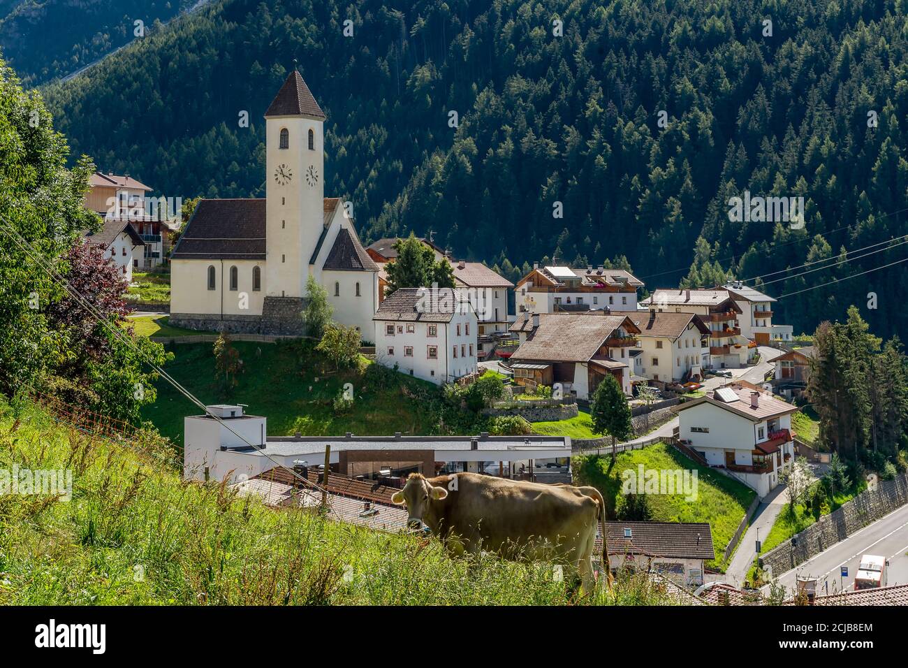 Una mucca pazza con il villaggio di Curon Venosta (Graun) sullo sfondo, Alto Adige, Italia Foto Stock