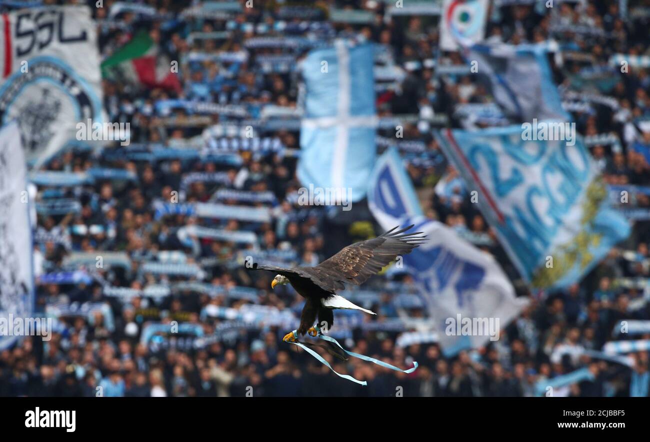 Football - Soccer - Lazio v AS Roma - Italian Serie A - Olympic Stadium, Rome, Italy - 4/12/2016. Lazio's mascot, a white headed eagle called Olimpia, flies prior to the start of the match against AS Roma. REUTERS/Alessandro Bianchi Foto Stock