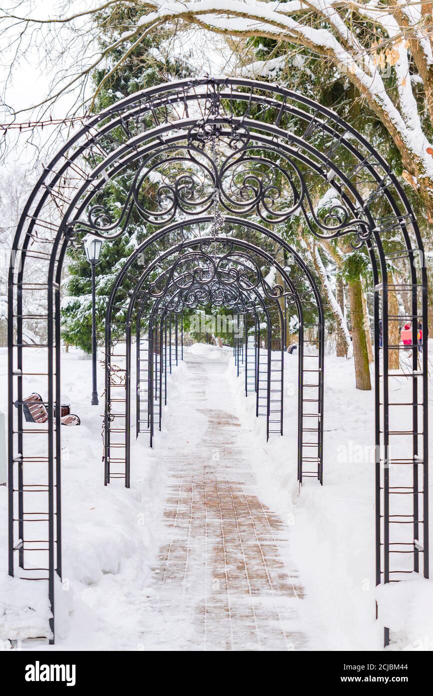 tunnel con archi in metallo forgiato nel parco invernale. Foto Stock
