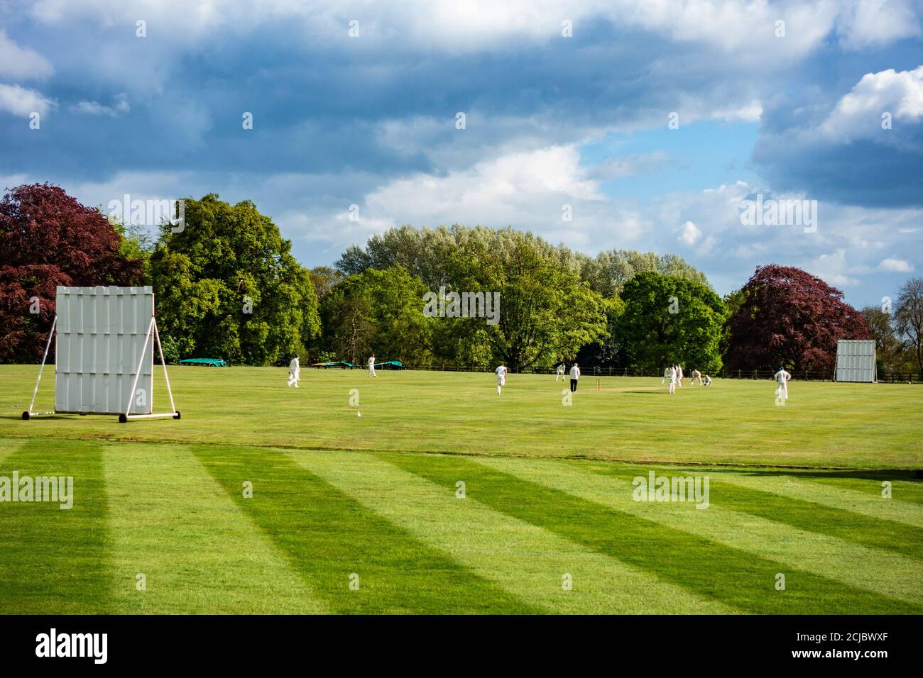 Wiseton Cricket Club che gioca al campo di cricket del villaggio a. Sala Wiseton Foto Stock