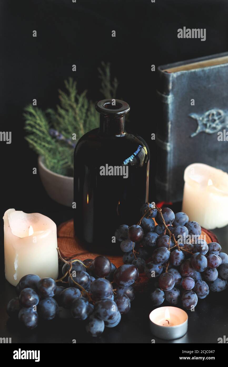 Bottiglia di vino fatto in casa come offerta sull'altare delle streghe di wiccan. Uva nera scura, candele accese bruciate, vecchio libro di incantesimi, sempreverdi in background Foto Stock
