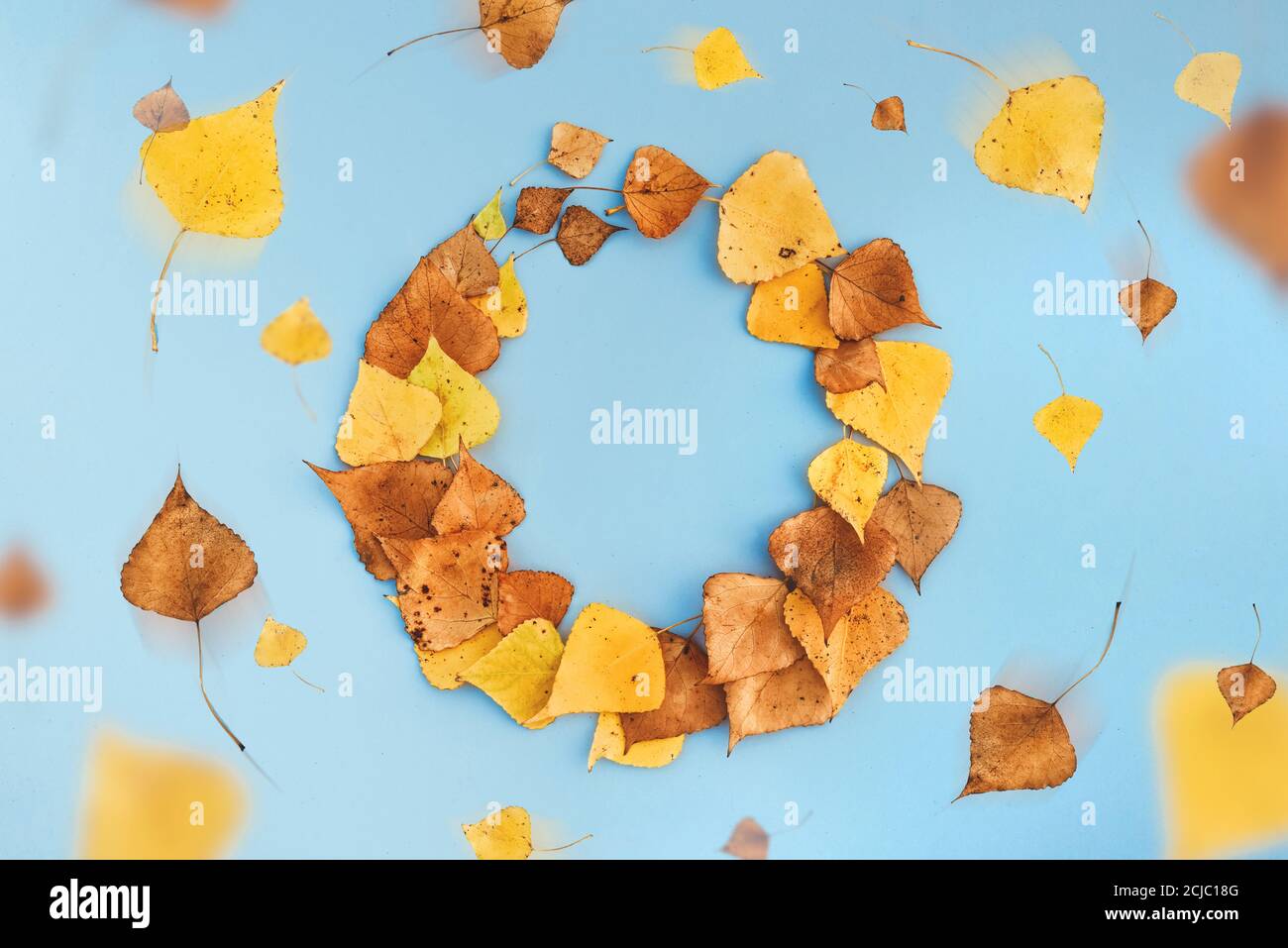 Cornice rotonda fatta di foglie autunnali, foglie caduta rotola intorno Foto Stock