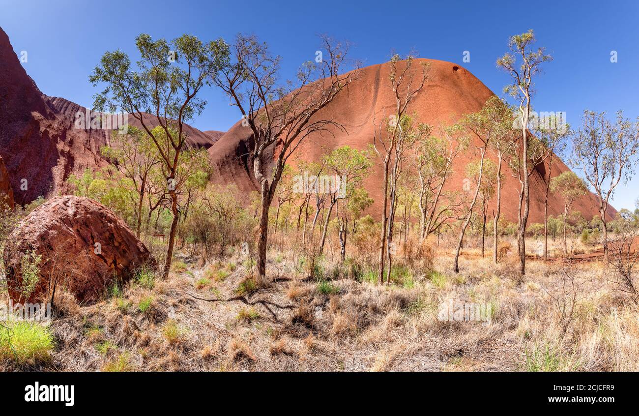 Uluru, territorio del Nord, Australia - il paesaggio intorno a Uluru nell'Outback australiano. Una vera e propria meraviglia del mondo naturale e. Foto Stock