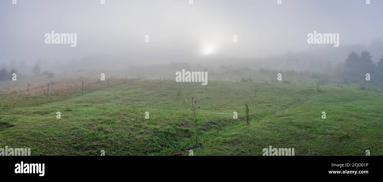 Mattina nebbia nei Carpazi, Ucraina Foto Stock