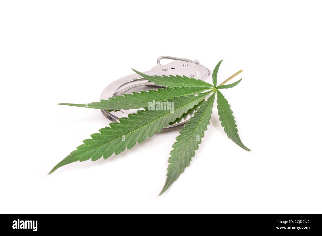 estlaw coltivazione illegale di marijuana, manette e foglie di cannabis. Foto Stock