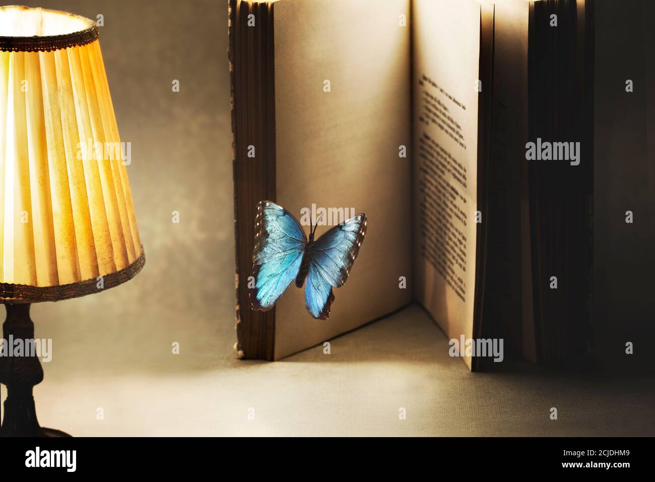 momento surreale e fantasioso di una farfalla che entra nelle pagine di un libro per una nuova storia Foto Stock