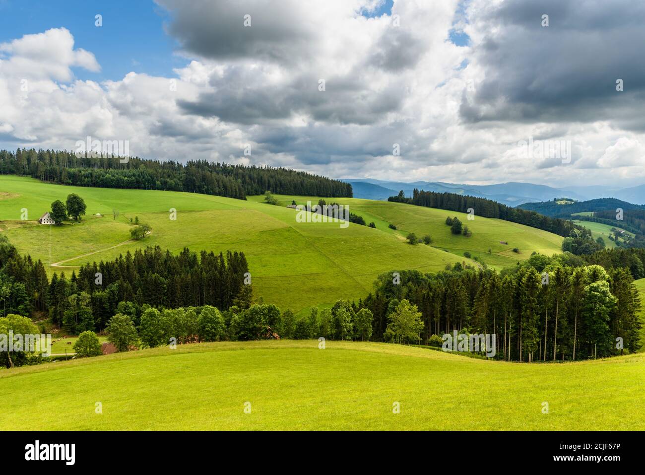 Paesaggio collinare con prati verdeggianti e pascoli vicino a St. Maergen, Foresta Nera, Baden-Wuerttemberg, Germania Foto Stock