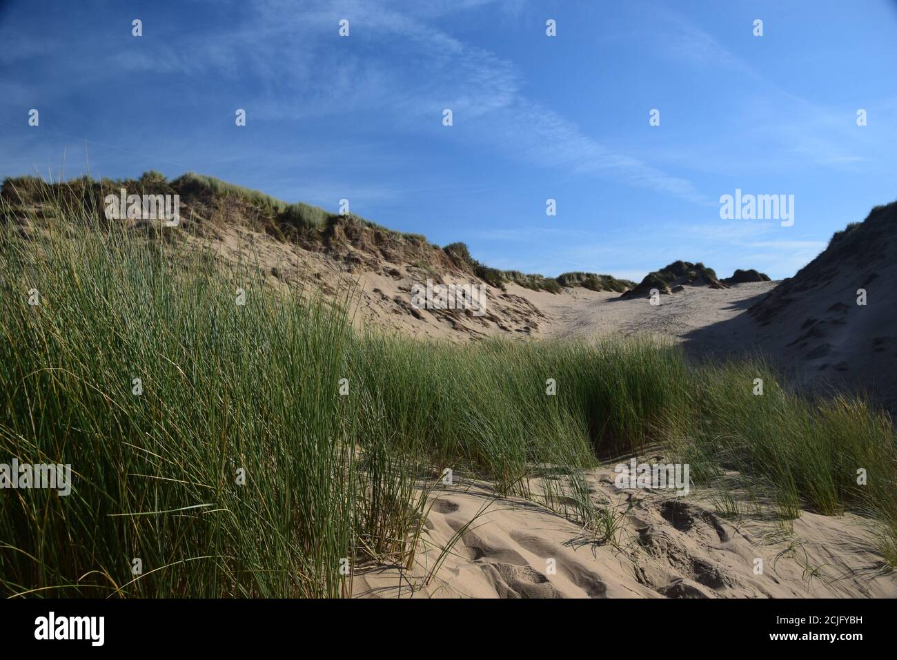 Dietro il fronte duna di sabbia a Formby Merseyside Foto Stock