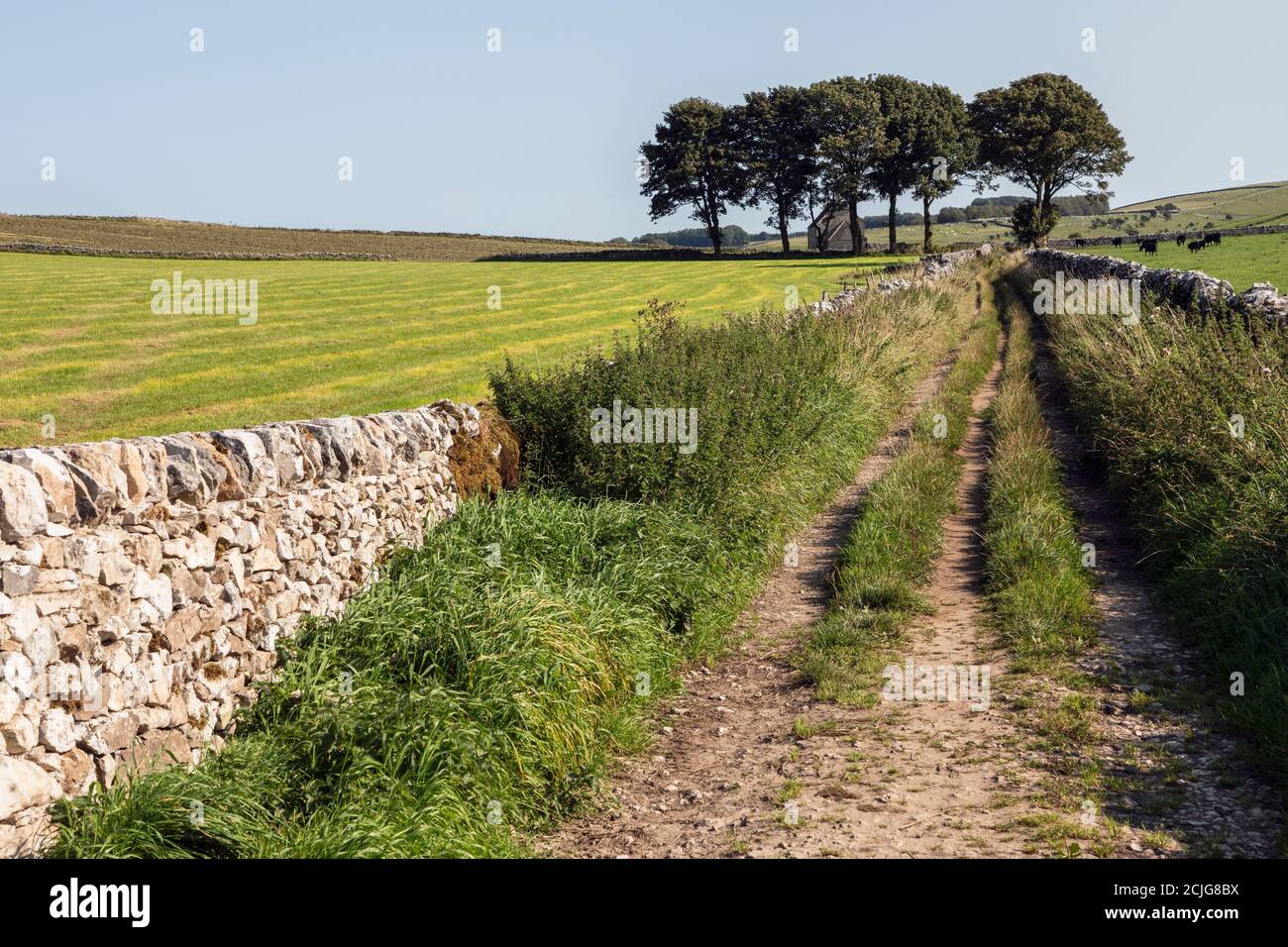 Una sezione recentemente ricostruita di muro di pietra a secco accanto a un percorso agricolo vicino a Biggin nel Peak District, Derbyshire Foto Stock