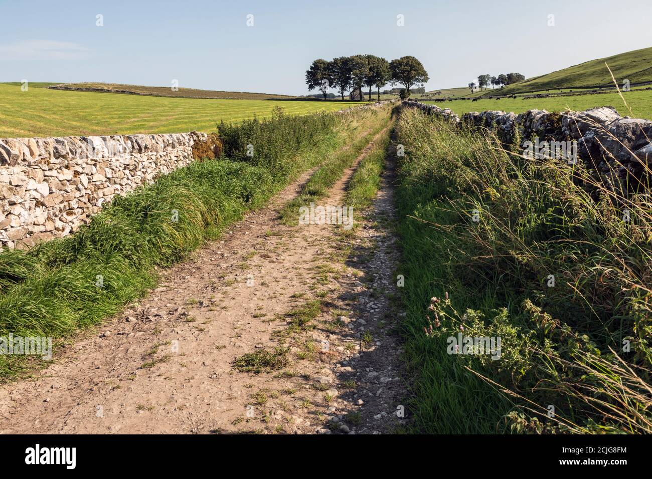 Una sezione recentemente ricostruita di muro di pietra a secco accanto a un percorso agricolo vicino a Biggin nel Peak District, Derbyshire Foto Stock