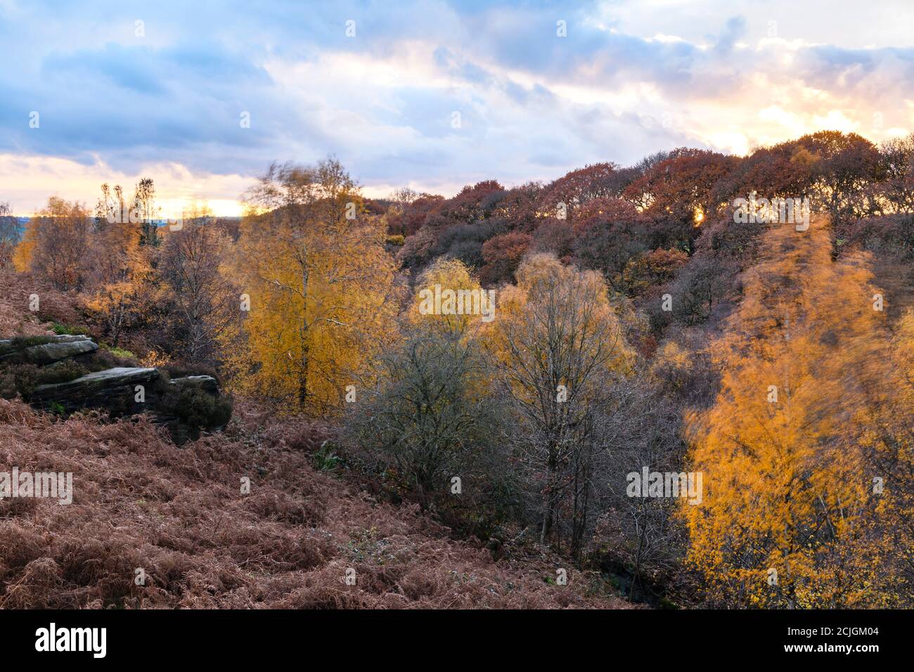Colori autunnali, valle paesaggistica boschiva rurale, alberi su ripide colline, foglie colorate e cielo tramonto - Shipley Glen, West Yorkshire, Inghilterra, Regno Unito. Foto Stock