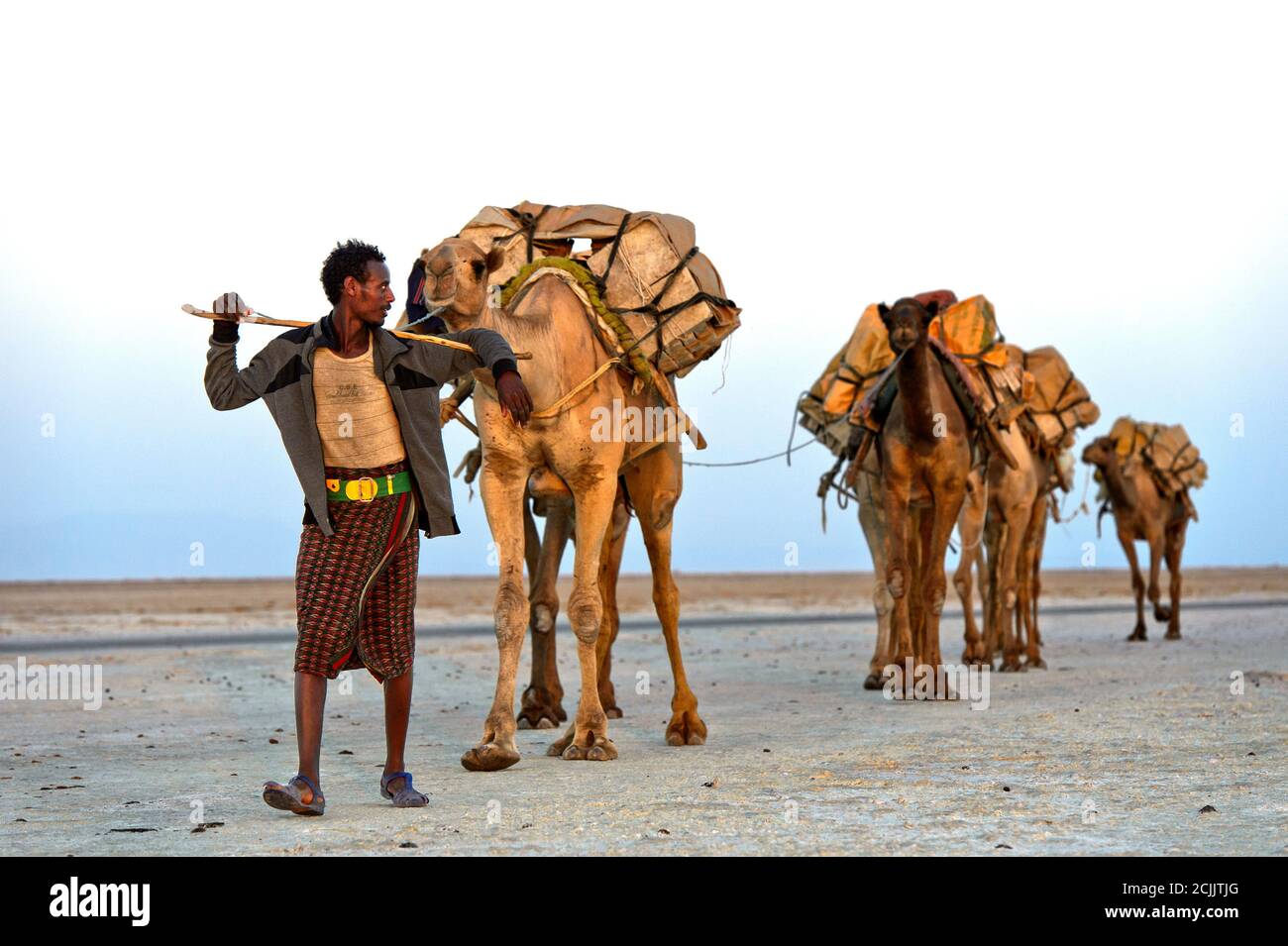 Un pastore afar con carovana di dromedario che trasporta il sale di roccia attraverso il lago salato di Assale al mercato, vicino Hamadela, depressione di Danakil, Etiopia Foto Stock