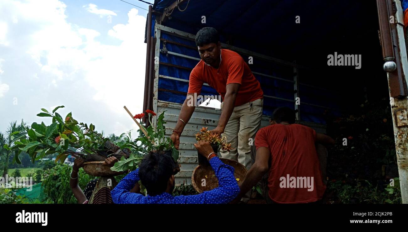 DISTRETTO KATNI, INDIA - 18 SETTEMBRE 2019: Due villaggio indiano gardner caricamento di piante di fiori freschi su camion sul lato della strada in ambiente esterno. Foto Stock