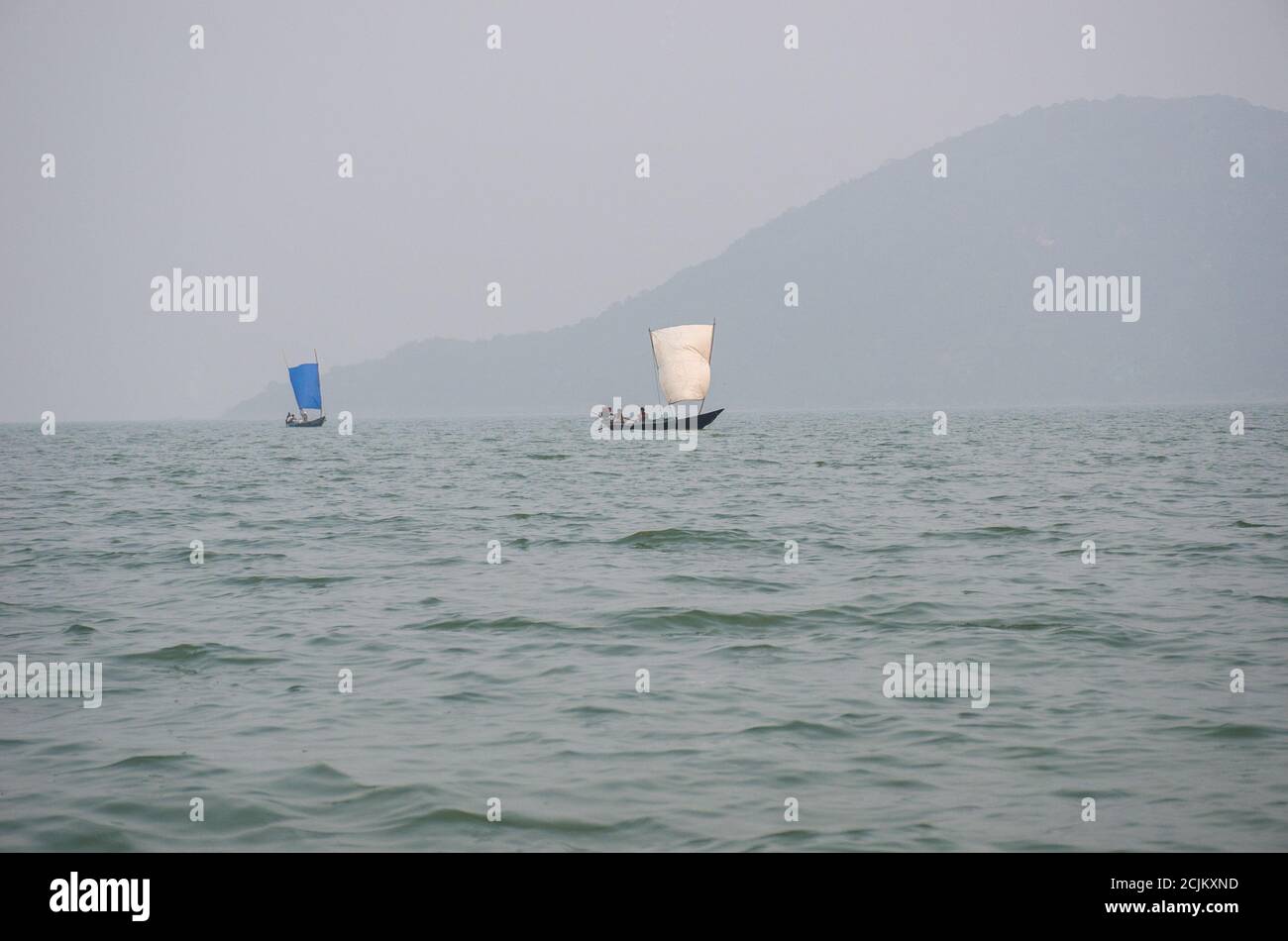 barca a vela che galleggia sul lago di chilika rambha Foto Stock