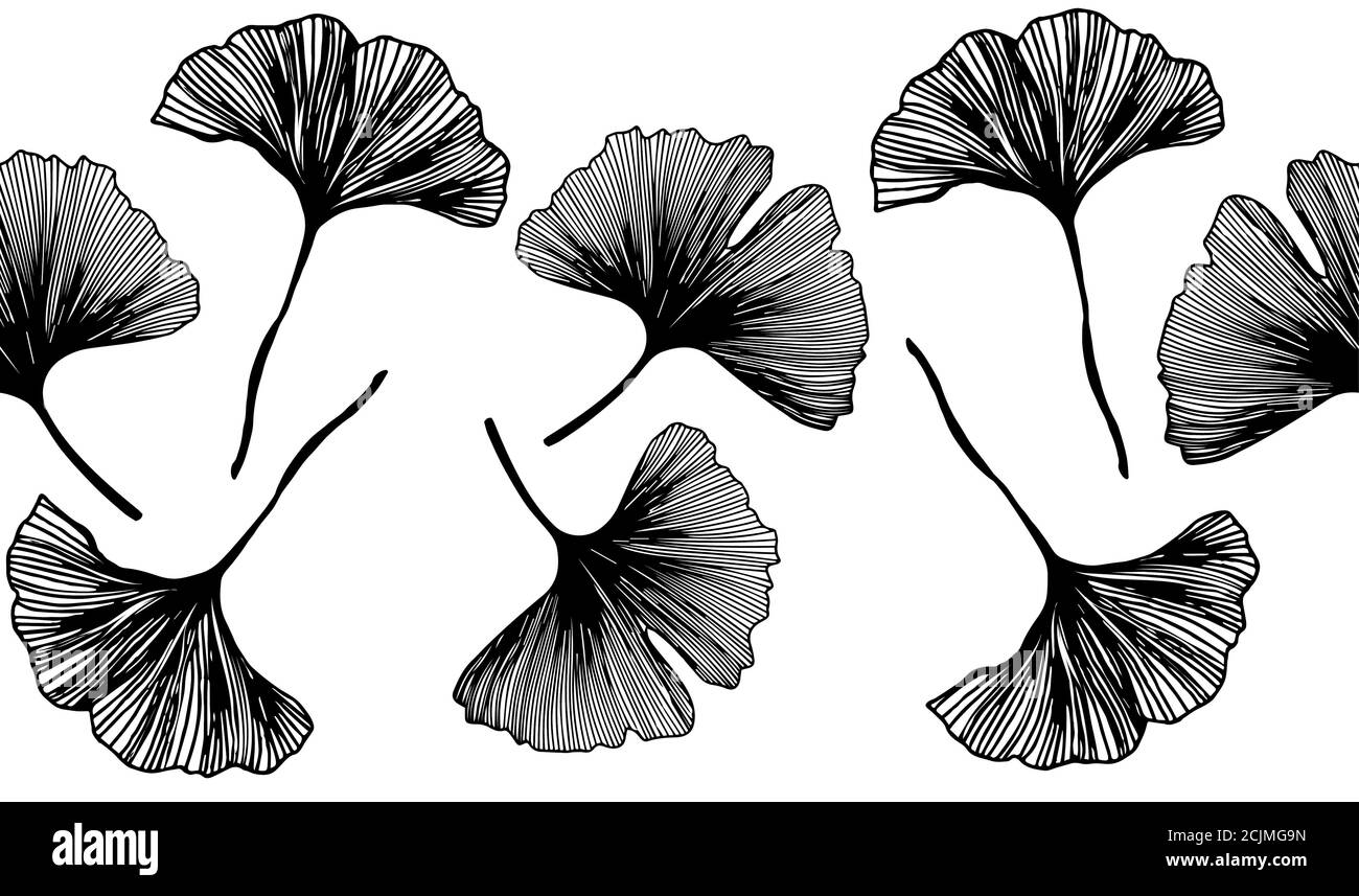 Motivo floreale senza cuciture con foglie di ginkgo. Illustrazione vettoriale delle foglie di ginkgo biloba. Sfondo con silhouette a foglia. Progettazione di tessuti, tessuti, Illustrazione Vettoriale