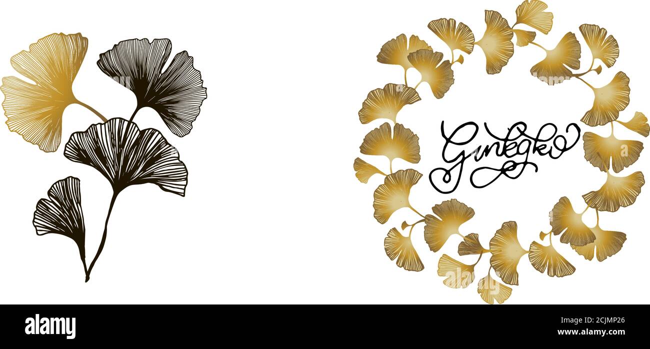 Nero, vettore giallo-oro senza cuciture elegante carta da parati con foglie. Glitter illustrazione astratta con foglie di ginkgo biloba. Design per tessuti, fab Illustrazione Vettoriale