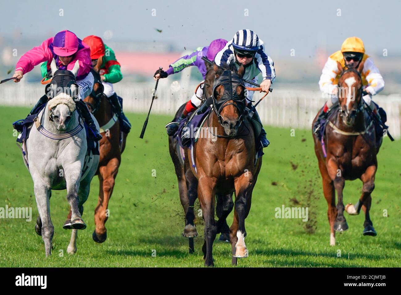 Il nonno Tom guidato da Ray Dawson (centro) continua a vincere il seguito alle gare su Twitter handicap al Great Yarmouth Racecourse. Foto Stock