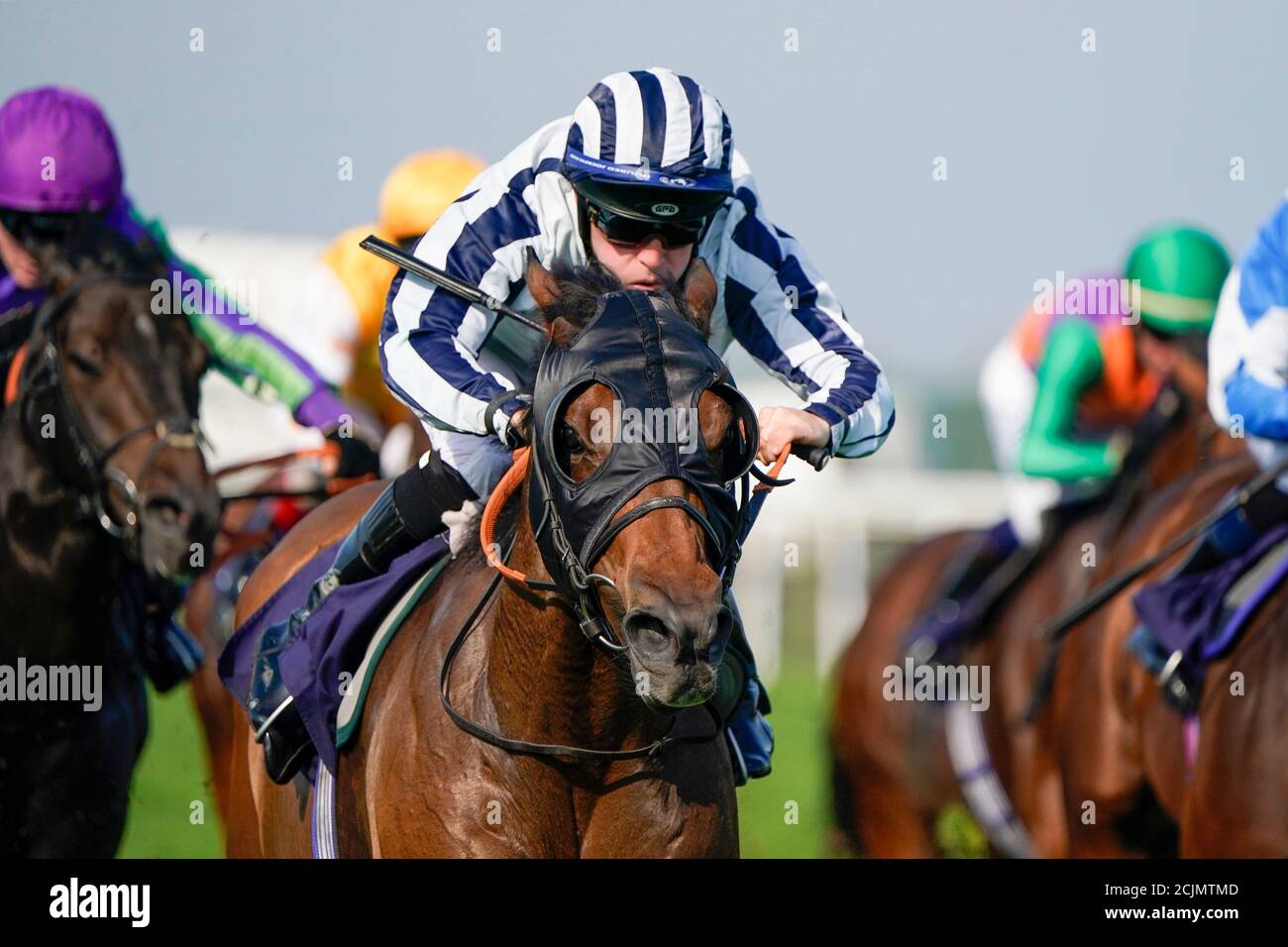 Il nonno Tom guidato da Ray Dawson continua a vincere il seguito alle gare su Twitter handicap al Great Yarmouth Racecourse. Foto Stock