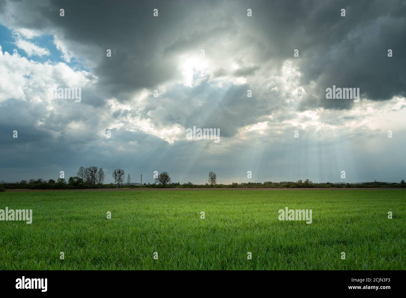 Raggi solari e nuvole su un campo verde Foto Stock