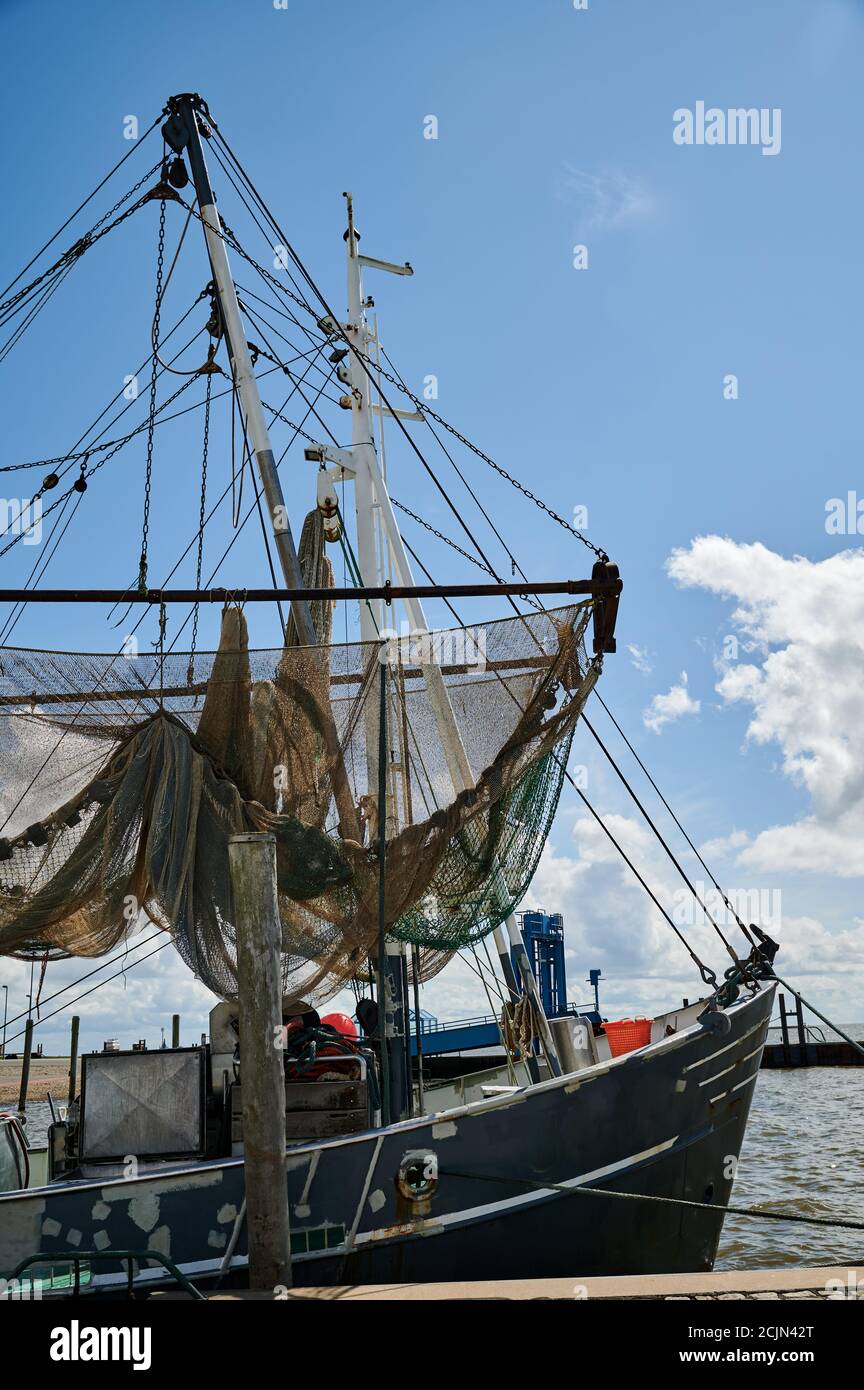 Barca di pesca del granchio nel porto Foto Stock