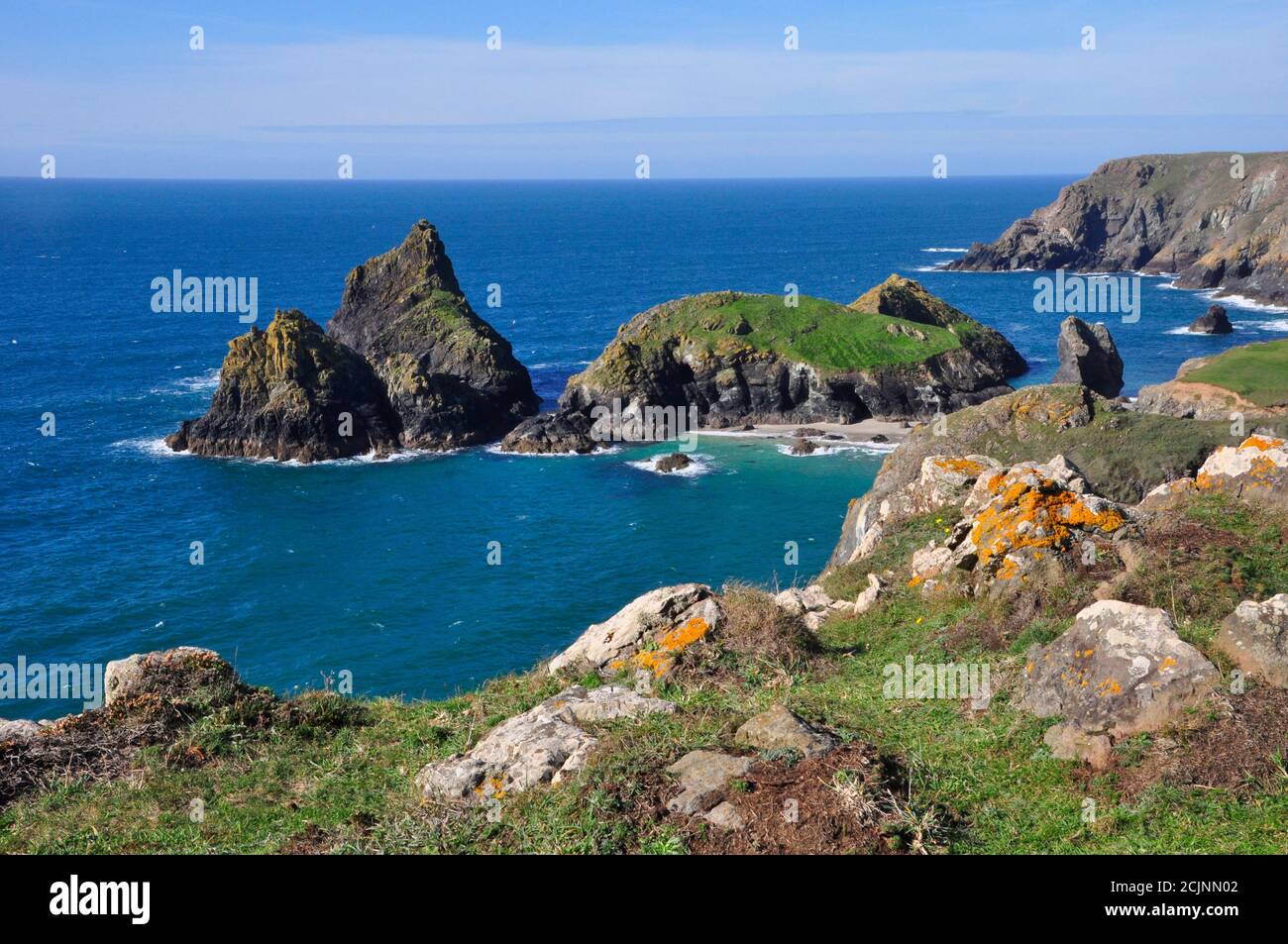 Lichen ha coperto rocce di granito sopra Kynance Cove sulla penisola di Lizard in Cornovaglia, Inghilterra, Regno Unito Foto Stock