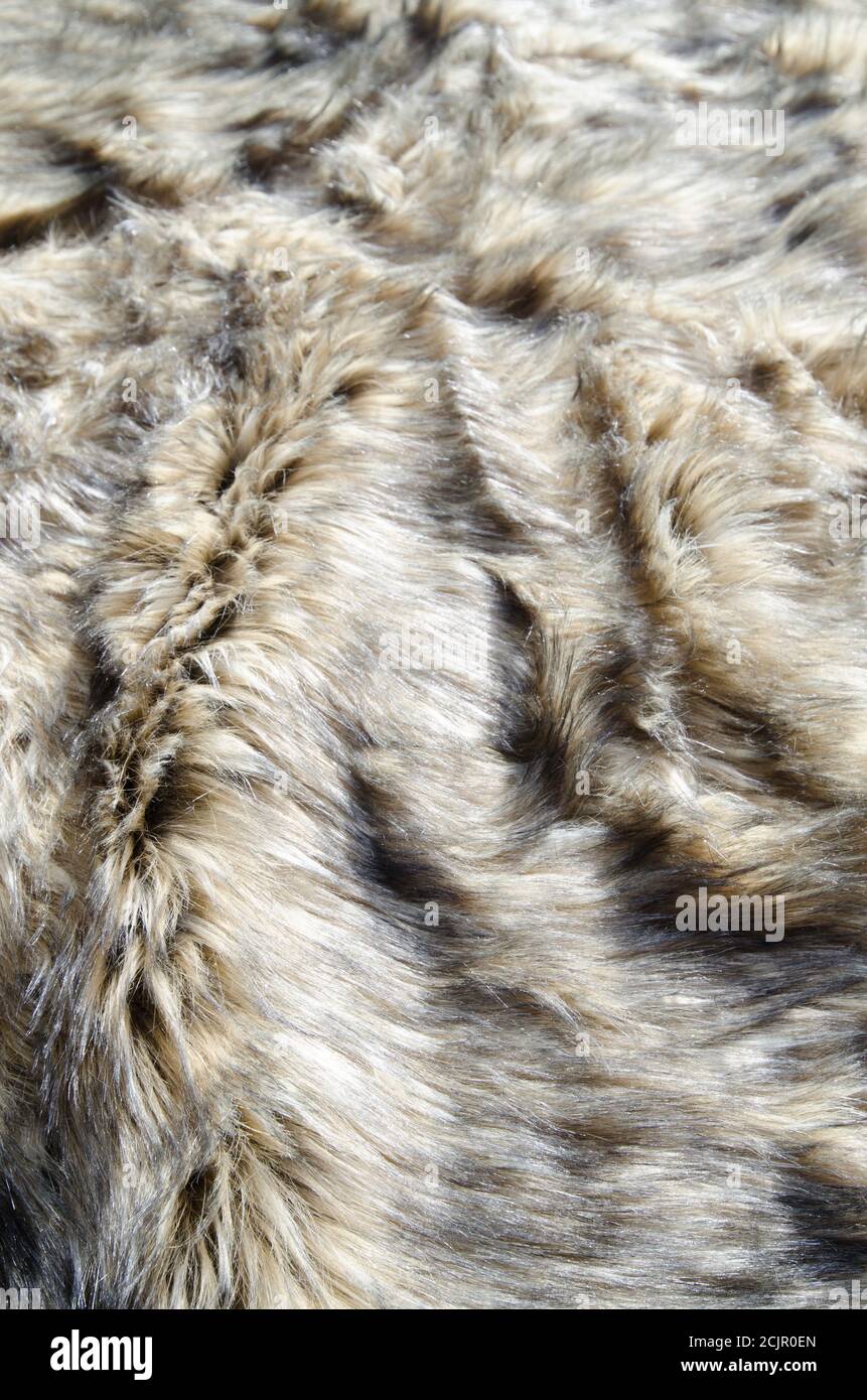 Wolf fake texture pelliccia, sfondo astratto. Foto Stock