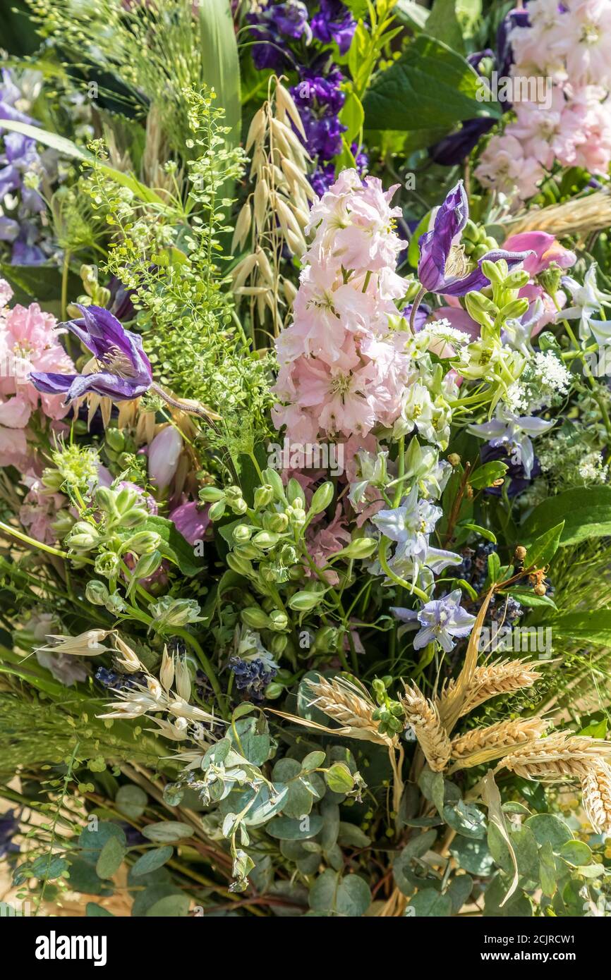 Tagliare fiori e erbe in spray, primo piano Foto Stock