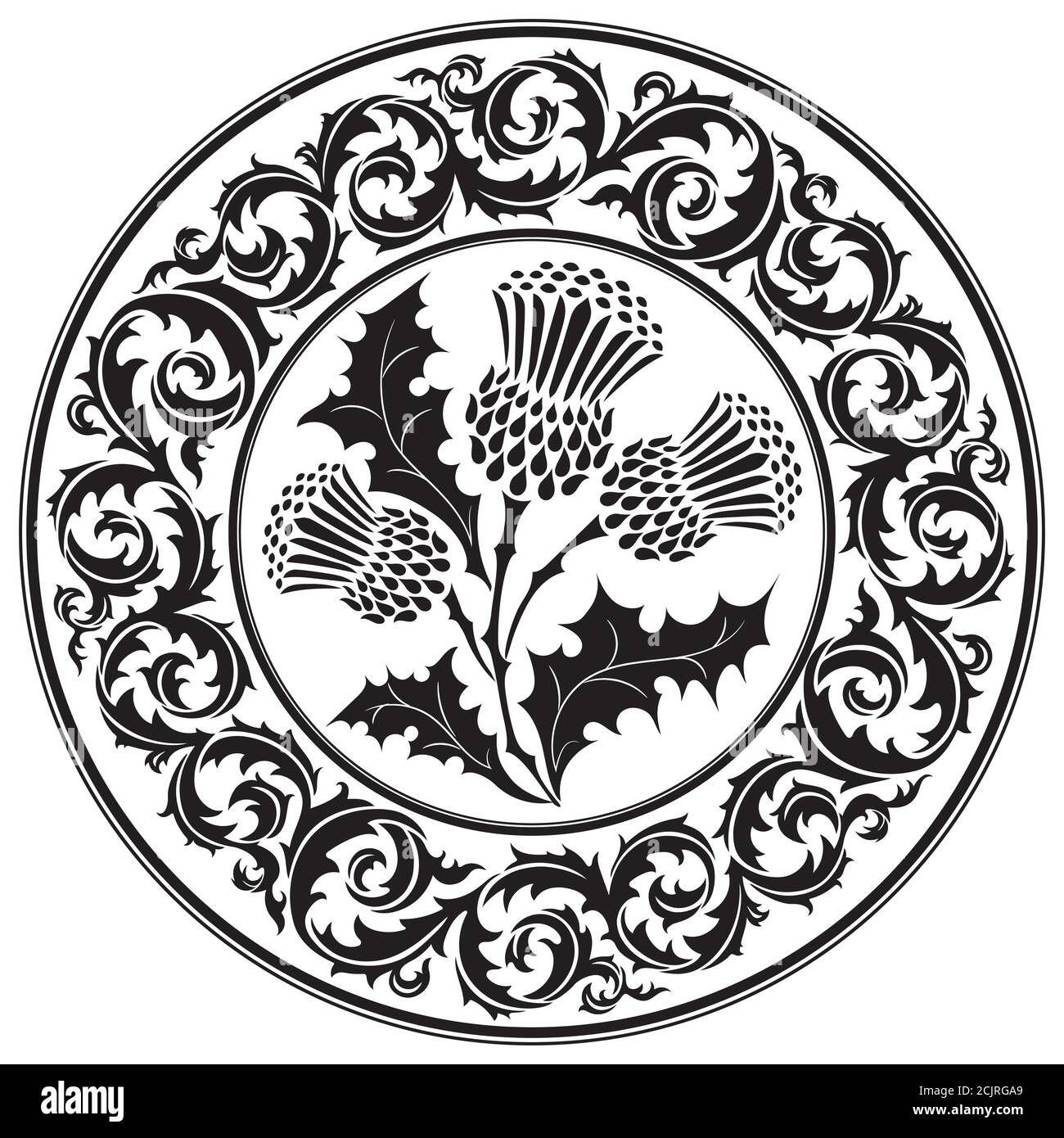 Thistle fiore e ornamento tondino foglia. Il simbolo della Scozia Illustrazione Vettoriale