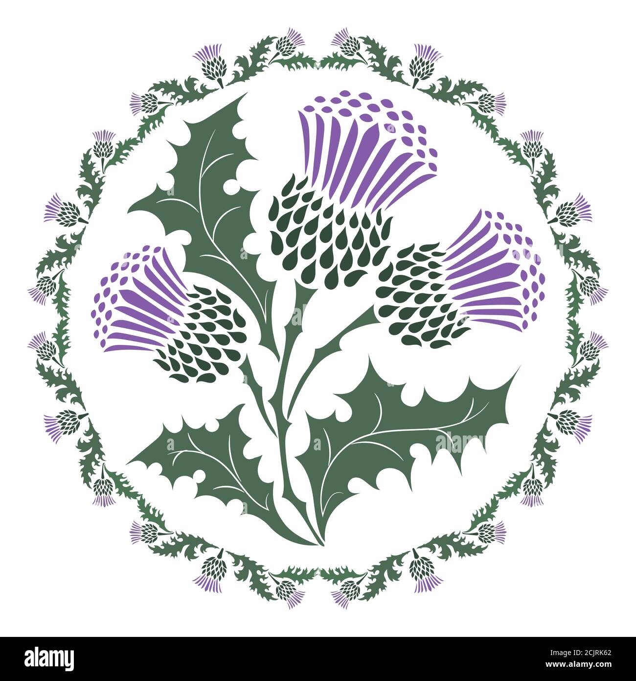 Thistle fiore e ornamento tondino foglia. Il simbolo della Scozia Illustrazione Vettoriale