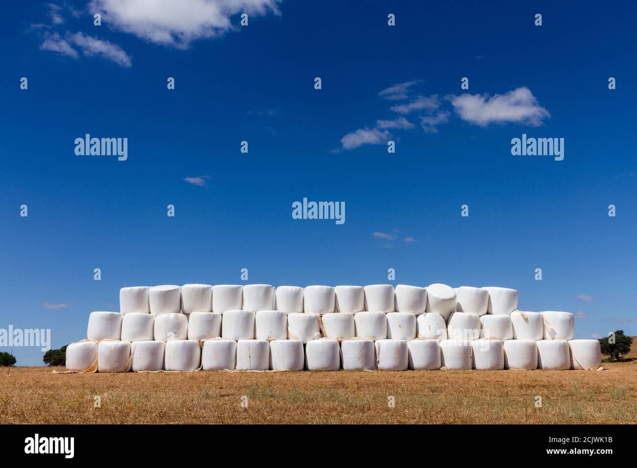 Balle di fieno vicino alla strada tra Mértola e la cascata Puno do Lobo, ad Alentejo, Portogallo Foto Stock