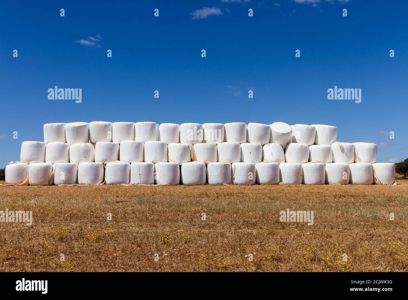 Balle di fieno vicino alla strada tra Mértola e la cascata Puno do Lobo, ad Alentejo, Portogallo Foto Stock