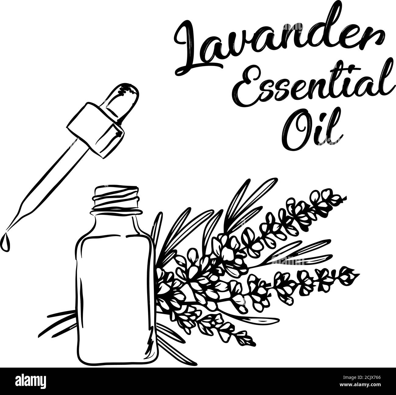 Lavanda bottiglia di olio essenziale e mazzo di fiori disegnati a mano illustrazione vettoriale. Disegno isolato per il trattamento di Aromatherapy, medicina alternativa, Illustrazione Vettoriale