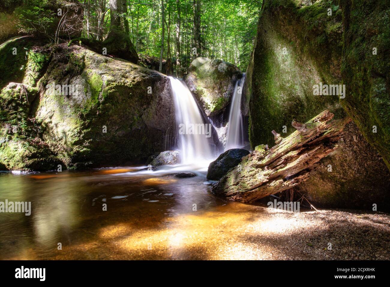 Bel paesaggio verde della foresta con ruscello e cascata con lenta velocità dell'otturatore e luce solare in estate. Natura tropicale sfondo Foto Stock