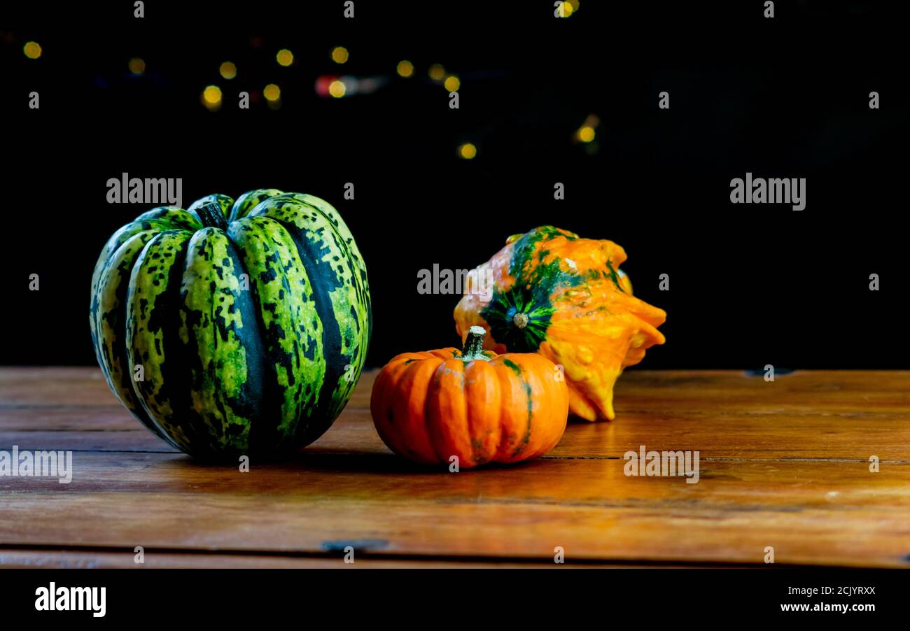 Varietà di zucche su tavola rustica in legno e fondo nero chiaro. Verdure simboliche autunnali nei colori verde, giallo e arancione. Giallo delicato Foto Stock