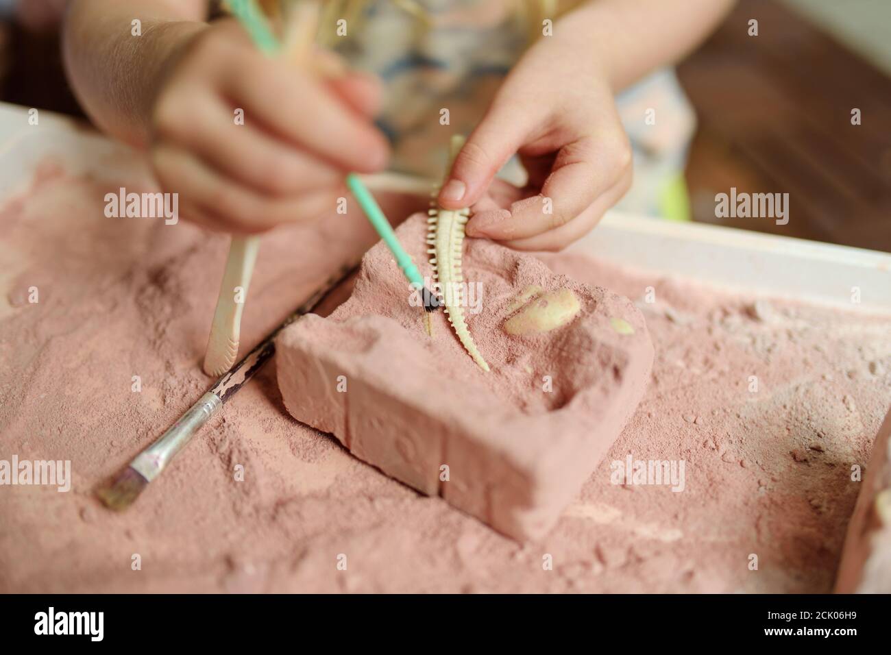Bambino scavando un giocattolo di dinosauro da una muffa di gesso. Giochi archeologici per bambini. Esplorare la storia della terra. Piccolo scienziato, idee f Foto Stock