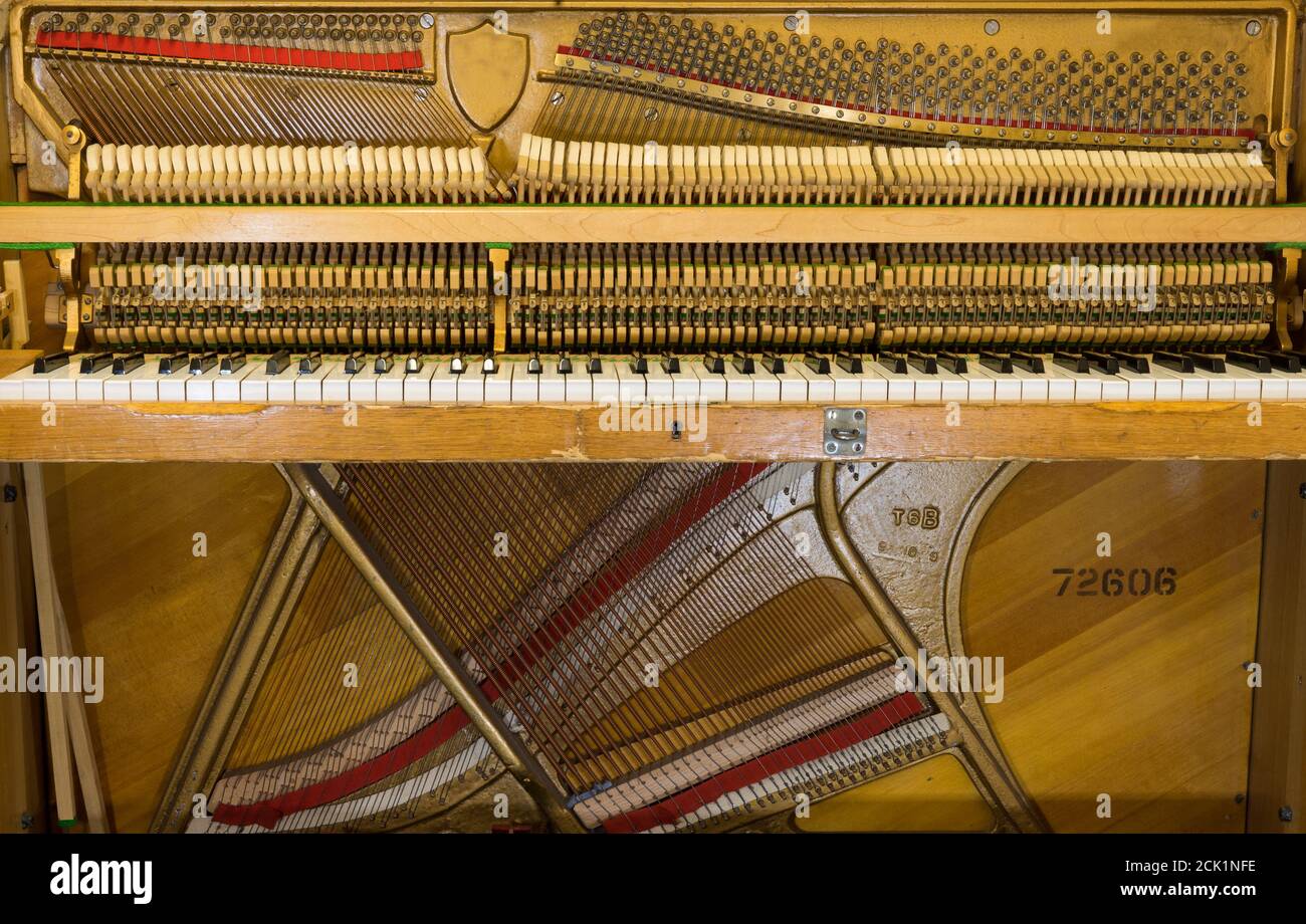 Le lavorazioni interne di un pianoforte verticale che mostra le corde e i martelli all'interno. Foto Stock
