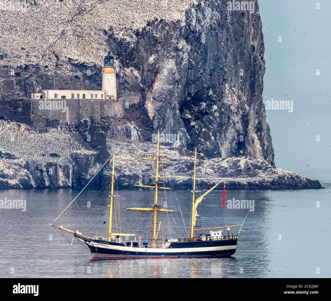 Pelican di Londra all'ancora vicino al Bass Rock, East Lothian, Scozia, Regno Unito. Foto Stock