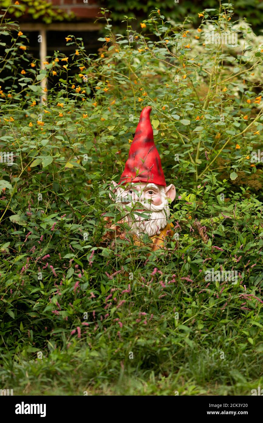 Un gnome da giardino si affaccia da un giardino in crescita a Littleton, Massachusetts, Stati Uniti. Foto Stock