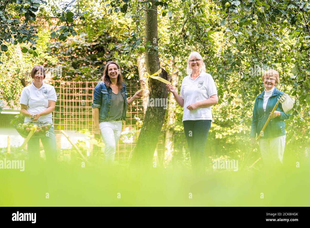 Achternmeer, Germania. 11 Settembre 2020. Tanja Holtz (l-r), Simone Malz, vera Beenken e Uta Bümmerstede, tutti dell'associazione cittadina Achternmeer-Harbern 1, si trovano su un albero al quale è stato attaccato il nastro giallo. Il nastro sull'albero deve richiamare l'attenzione sul fatto che la frutta può essere raccolta e mangiata da tutti. Credit: Mohssen Assanimoghaddam/dpa/Alamy Live News Foto Stock