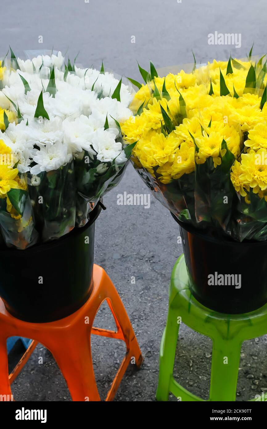 I garofani freschi in fiore vengono esposti in un negozio di fioristi locale su un marciapiede, i bellissimi garofani bianchi e gialli vengono visualizzati su sedie su un marciapiede. Foto Stock