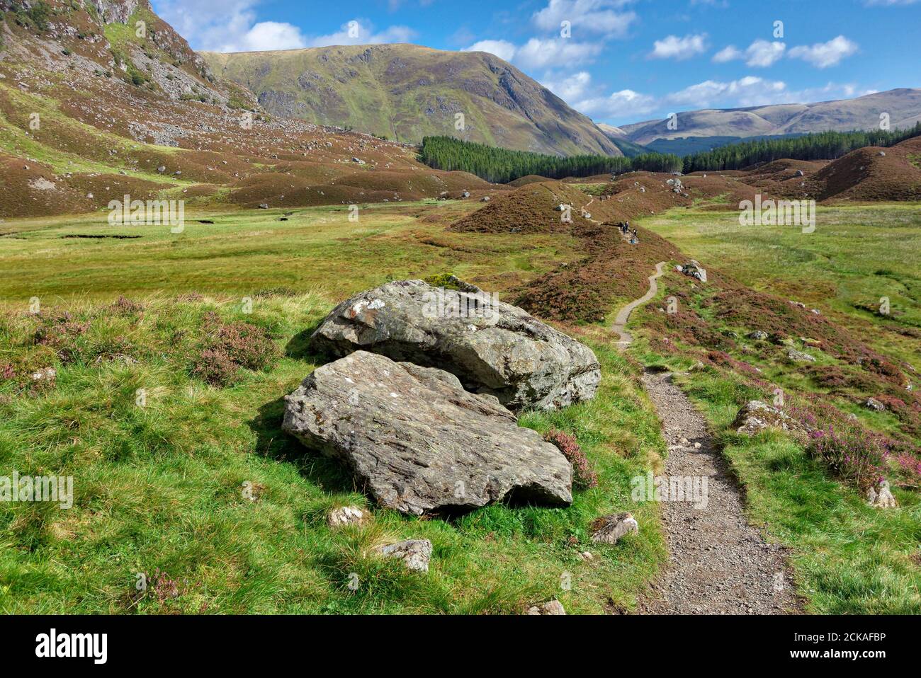 Il percorso attraverso la Corrie Fee, Glen Clova, vicino a Kirriemuir, Angus, Scozia Foto Stock